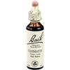 Loacker Remedia CLEMATIS BACH ORIG 20 ML