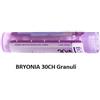 Boiron Bryonia 30ch 80gr 4g