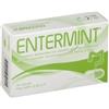 Laerbium Pharma Entermint 30 Capsule Da 420 Mg