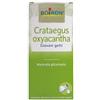 Boiron Crataegus Oxyacantha Macerato Glicerico 60 Ml Int