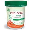 Psyllogel Fibra Integratore Intestinale Gusto Arancia Rossa 170 G