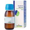 Boiron Carpinus Betulus Macerato Glicerico 60ml