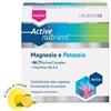 Active Nutrient Magnesio Potassio Integratore Limone 20 Bustine