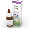 Guna Vervain