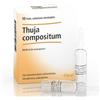 Heel Thuja compositum