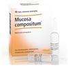 Heel Mucosa compositum®
