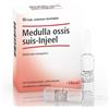 Heel Medulla ossis suis-Injeel