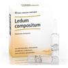 Heel Ledum compositum