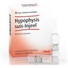 Heel Hypophysis suis-Injeel