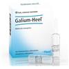 Heel Galium-Heel®