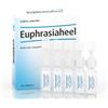 Heel Euphrasiaheel