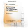 Heel Echinacea compositum S