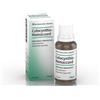 Heel Colocynthis-Homaccord