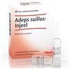 Heel Adeps suillus-Injeel