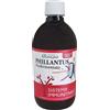 Phillantus 500 Ml