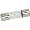 HorecaForniture Fusibile Ritardato Ø 5X20 Mm - 10 Pz 3049013