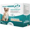 MSD Animal Health MSD YouAct Entero Equilibrio del microbiota Stick per cani e gatti 2 gr 30 Bustine - Integratori per cani - 1° ORDINE? 20% di sconto SU BRAND ESCLUSIVI, codice BZR20