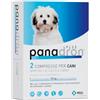 MSD Animal Health MSD Panadron Plus vermifugo compresse per cani <35 Kg - confezione da 2 compresse - scegli lo sconto BZR5 / BZR20
