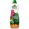 Fito SANGUE DI BUE