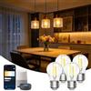 Aigostar Lampadine Alexa, Lampadine Led E27 Vintage, G45 Transparente Lampadine Filamento a Globo, 4.5W, 470LM, Bianco Caldo Dimmerabile 2700K - 6500K, Compatibile con Alexa e Google Home, 4 Unità