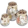 Relaxdays Conchiglie Deco, Set da 3, Mix di Conchiglie di Mare, Vasetti di Varie Misure, Arredo da Bagno, Naturale
