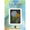 Psiche Le vie dell'anima verso il Cristo. Esperienze del soprasensibile