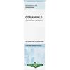Coriandolo semi tintura idroalcolica 50 ml ebv - Erba Vita - 902697921