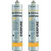 EVERPURE 4C2 SET 2 PEZZI EV9605-50