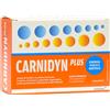 Carnidyn Plus Integratore Energetico Con Carnitina 20 Bustine