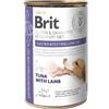 Brit veterinary BRIT GF Veterinary Diets Dog Gastrointestinal Low Fat 400g- cibo umido per cani