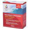 Optima Naturals Srl Colours of Life MAgnesio e Potassio 100% Citrati Bustine 63 g Polvere per soluzione orale