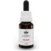 GREEN REMEDIES Bush Flower Essences Fiori Australiani Bluebell Gocce 15ml