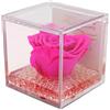 Texo di Claudio Rosso rosa vera fucsia, regalo festa pensiero cerimonia, dura per sempre, stabilizzata profumata cubo 8x8x8 plexiglass