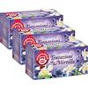 Pompadour, Infuso Tentazioni al Mirtillo, 60 Filtri (3 Confezione da 20 Filtri), Dolce e Fruttato, Piace anche ai Bambini, Senza Lattosio, Glutine e Allergeni, Vegan