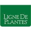 Lapacho 15 ampolle bevibili da 15 ml - - 941695443