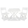 TOMAINO Tavolo e sedie da giardino in plastica pieghevole - Camping set 1 Tevere e 2 Birky - Bianco - bianco