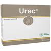 ANVEST HEALTH spa UREC 30BUST