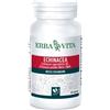 Erba Vita Group Echinacea 60capsule