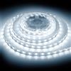 ShineBurky Striscia LED 12V 5 Metri Bianco Freddo, Strisce LED Adesive | SMD5050 300LEDs Luci LED Strip Light Flessibili Tagliabile per Camera Cucina Scale TV Decorazione (senza Alimentatore)