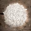 Slamp Veli Foliage Large Parete Soffitto