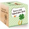 Feel Green Celebrations Ecocube, quadrifoglio portafortuna, cubo in legno con incisione laser Ganz viel Glück Für Dich, idea regalo sostenibile, set di coltivazione, Made in Austria