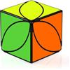 ROXENDA Cubo di Velocità, Original Speed Cube Qihang Cubo Magico Puzzle Super-Durevole Stickered con Colori Vivaci (Irregular Cube)
