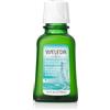 WELEDA Olio nutriente per capelli bio intensivo, cosmetici naturali a base di erbe, trattamento per capelli con rosmarino per capelli fragili e fragili, protezione e cura per una lucentezza naturale (1 x 50 ml)