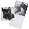 DRAEGER - Grand calendrier mural Chats noir et blanc - 2023, 79008003