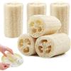 KEPKKU 6Pcs Spugna di Luffa Naturale, Loofah Sponge Spugna Esfoliante Spugna da Bagno Spugne da Cucina, Mini Spugna Luffa Loofah Scrubber Spazzola di Luffa Spugna da Doccia Spugne Naturali per Piatti o Corpo