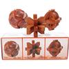 Toys of Wood Oxford TOWO Rompicapo in Legno - Globo di Galileo, Cometa di Halley e Palla da Calcio - Giochi Intelligenti per Bambini, Adulti e Ragazzi - puzzle rompicapo in legno