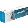 Equality Horse Lactanase Pro Pasta Orale 50 gr
