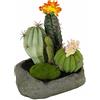 Flair Flower Flair Cactus Flower 088887or in Pietra, plastica, Arancione, 19 x 15 x 14 cm
