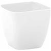 Nicoli Vaso Verve quadro bianco cm 20x20x21h