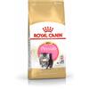 Royal Canin Kitten Persian 32 - Royal Canin - Kitten Persian 32 - 2KG